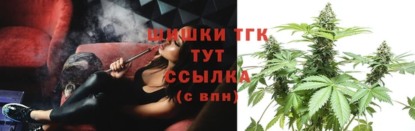 прущие грибы Дмитров
