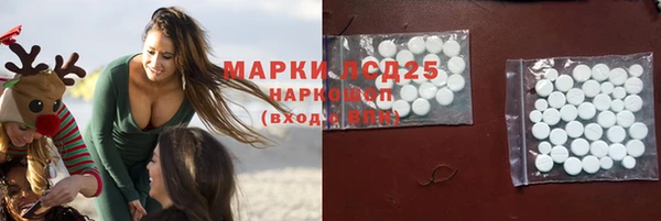 прущие грибы Дмитров