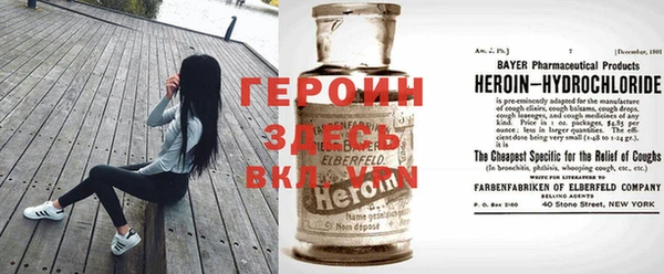 прущие грибы Дмитров
