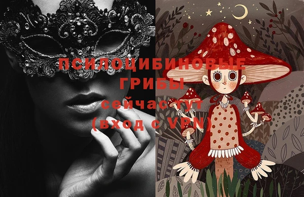 прущие грибы Дмитров