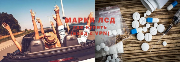 прущие грибы Дмитров