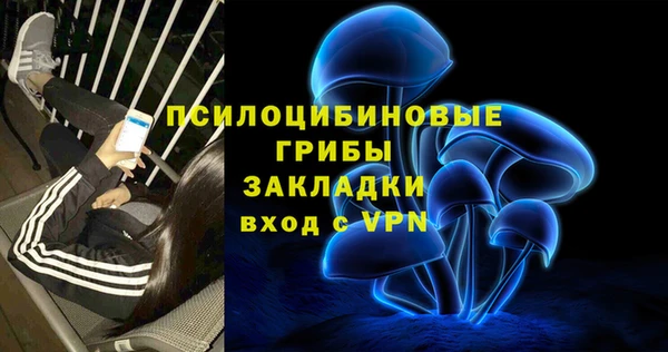 прущие грибы Дмитров