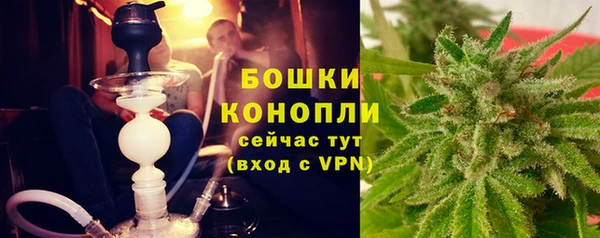 прущие грибы Дмитров