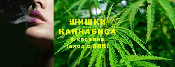 гидра Дмитриев