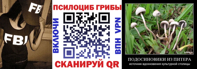 ссылка на мегу зеркало  Яранск  Галлюциногенные грибы Psilocybe 